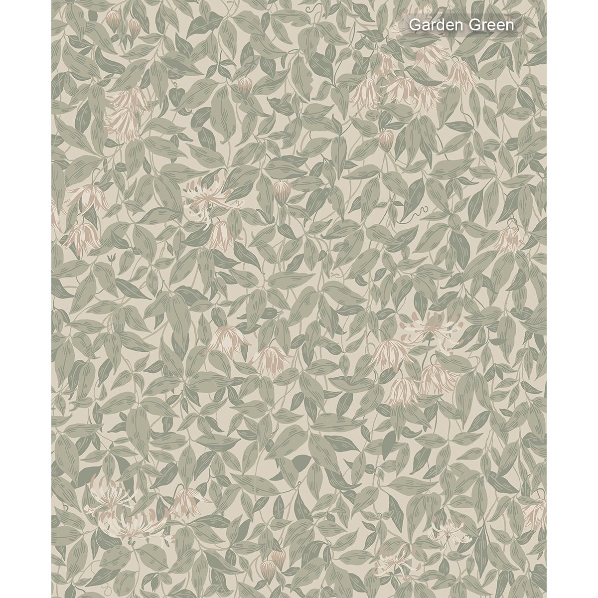 Sandberg | Linnea Sandberg | Linnea