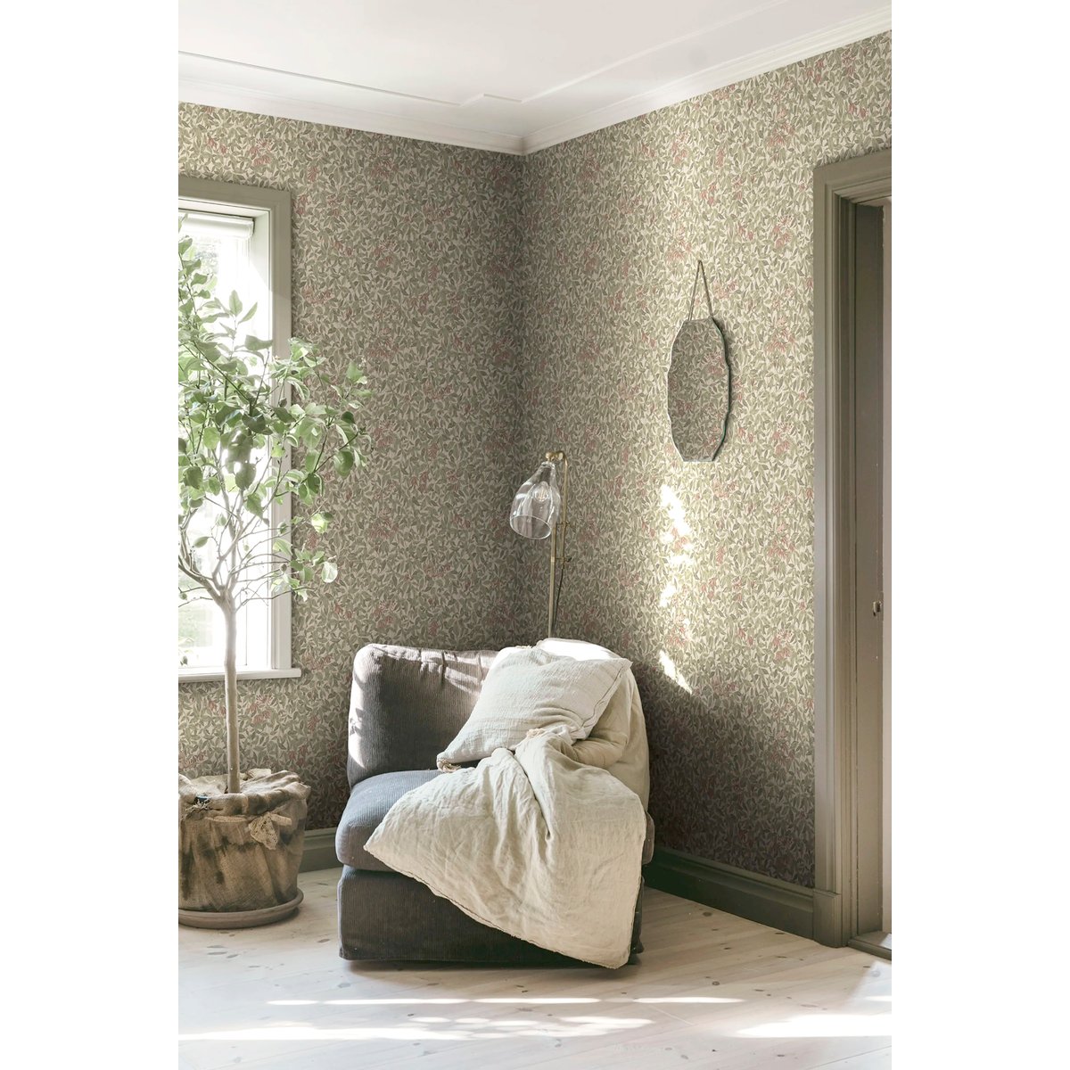 Sandberg | Linnea Sandberg | Linnea