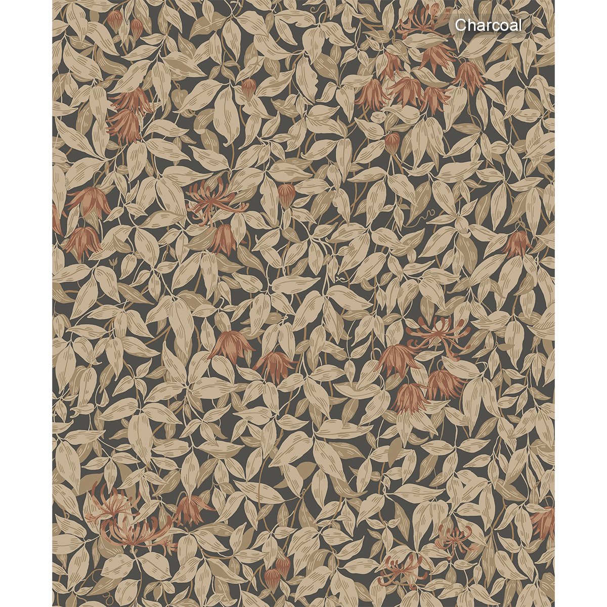 Sandberg | Linnea Sandberg | Linnea