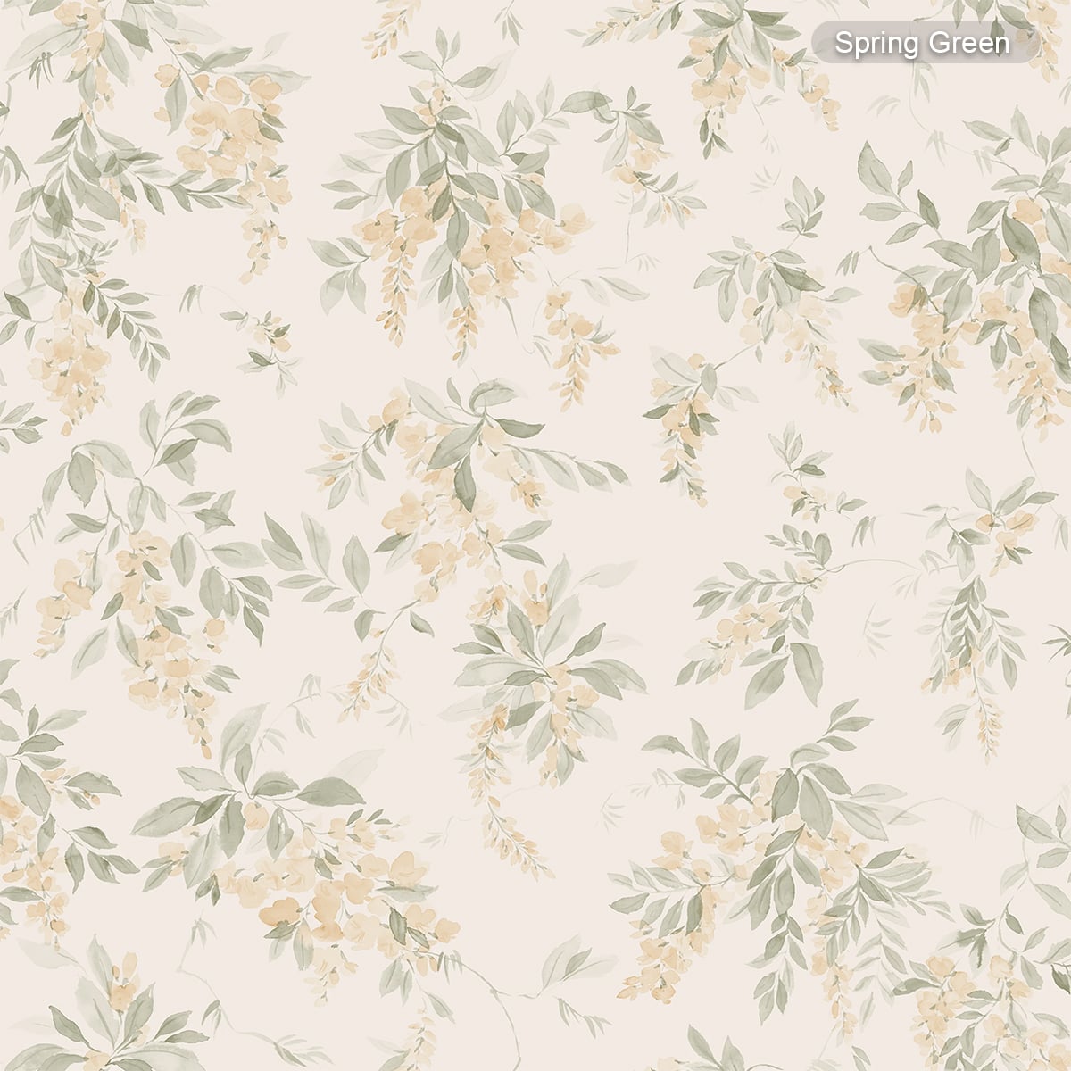 Sandberg | Lovisa Sandberg | Lovisa