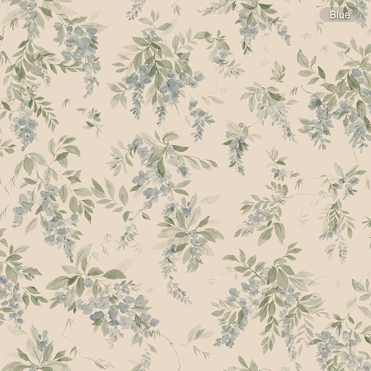 Sandberg | Lovisa Sandberg | Lovisa