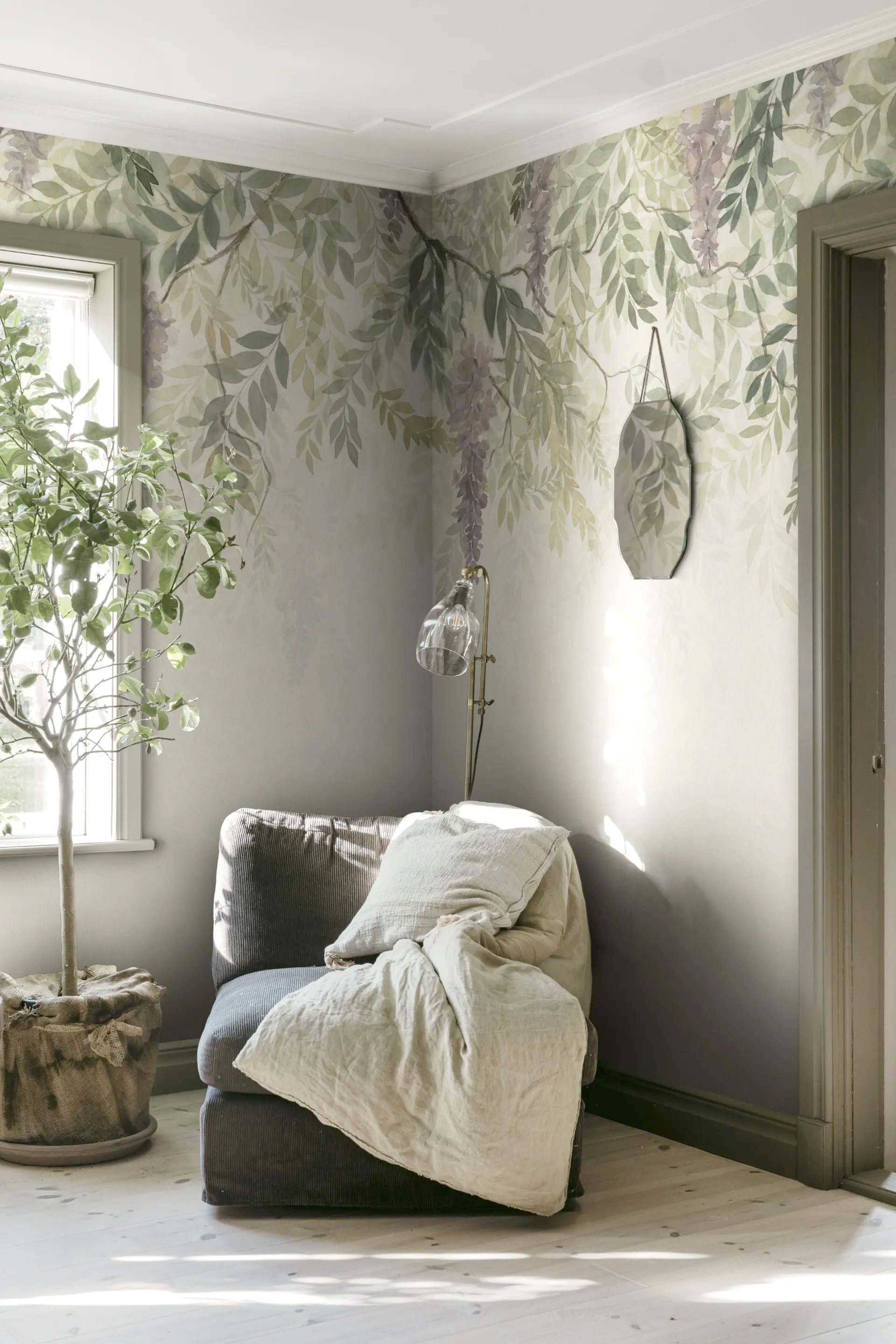 Sandberg | Wisteria Sandberg | Wisteria