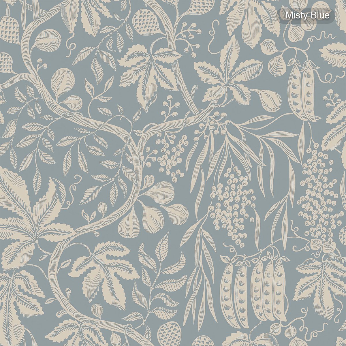 Sandberg | Fig Garden Sandberg | Fig Garden