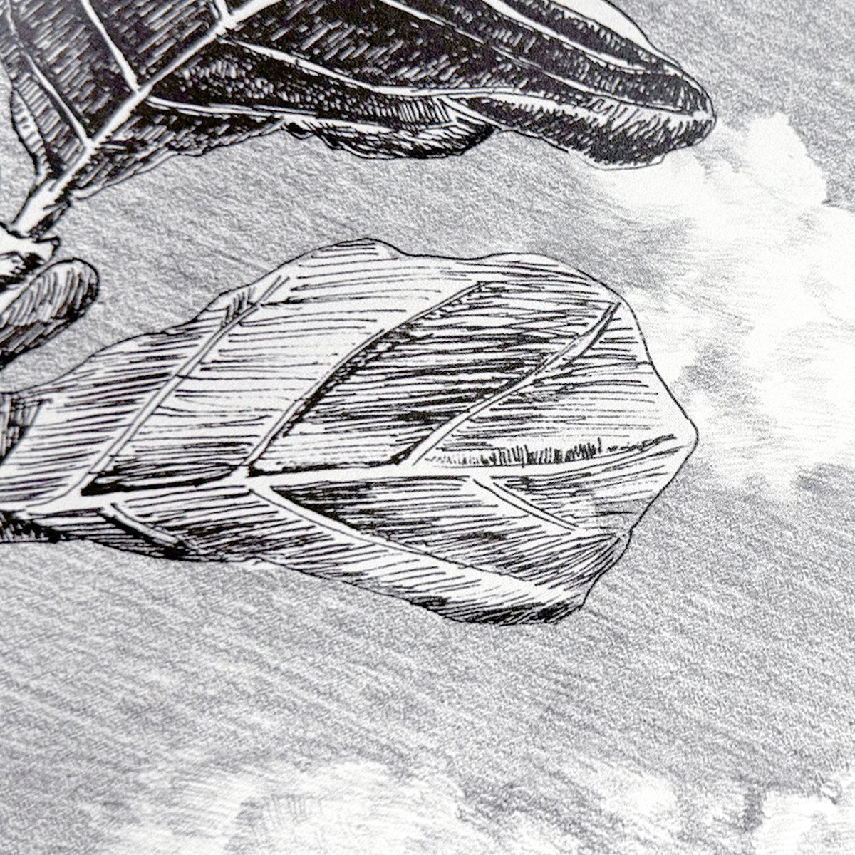 Classic Cloud Forest | Sian Zeng Classic Cloud Forest | Sian Zeng