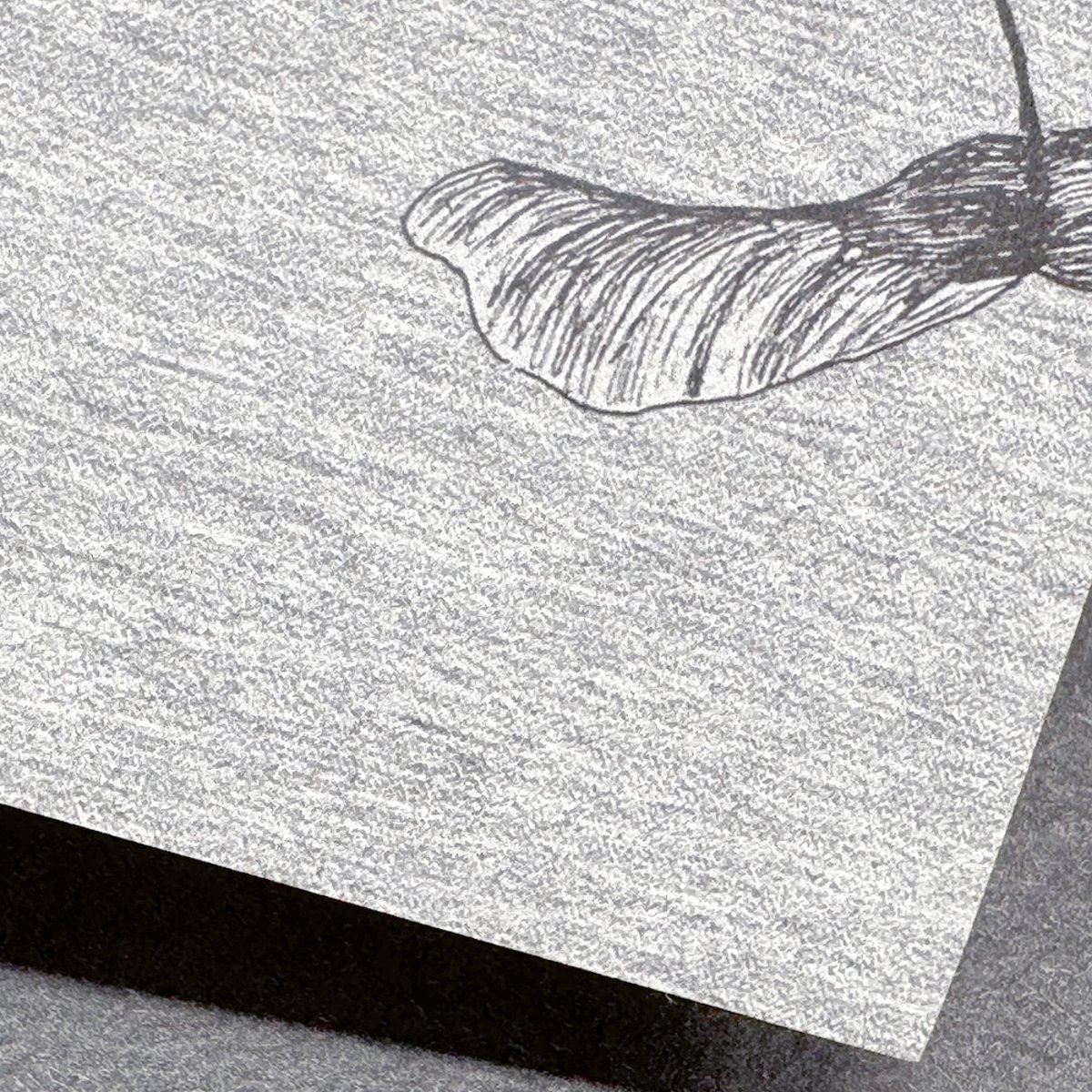 Classic Cloud Forest | Sian Zeng Classic Cloud Forest | Sian Zeng