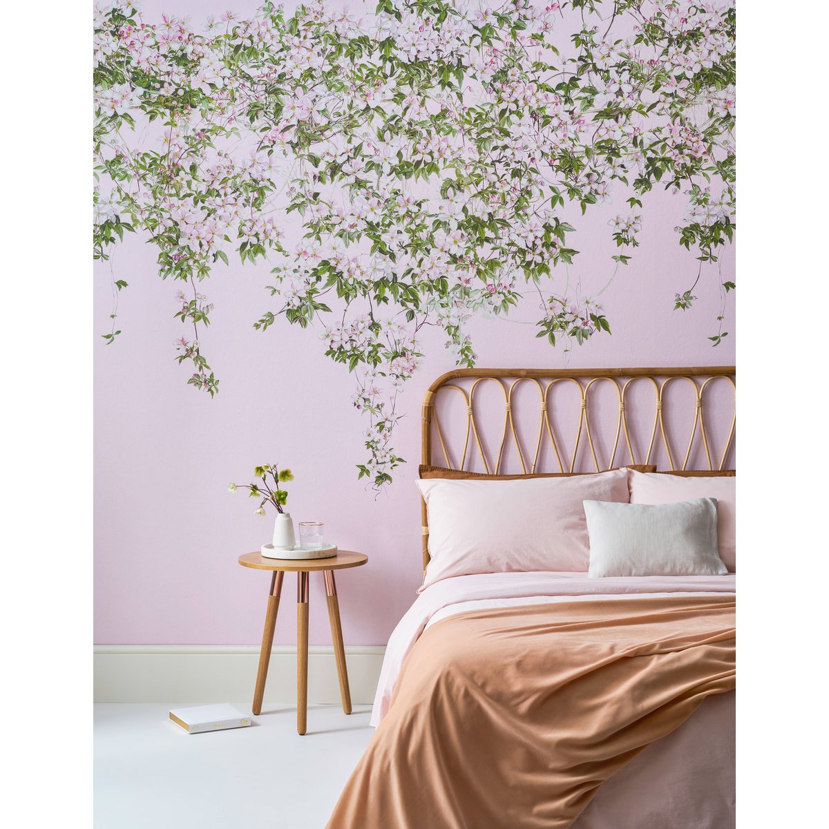 Classic Clematis Pink | Sian Zeng Classic Clematis Pink | Sian Zeng