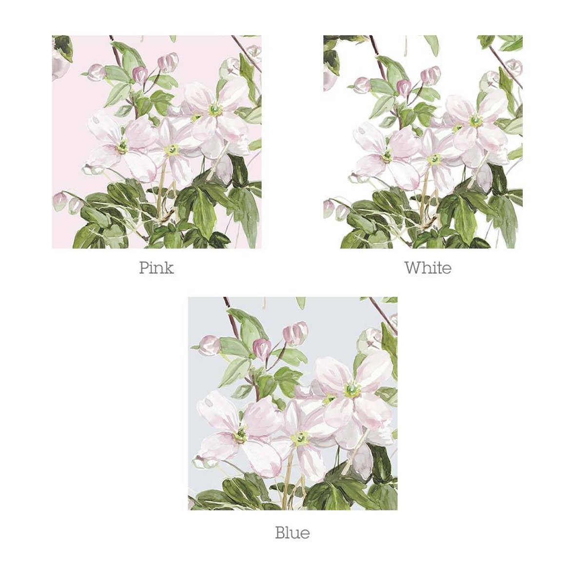 Classic Clematis Pink | Sian Zeng Classic Clematis Pink | Sian Zeng