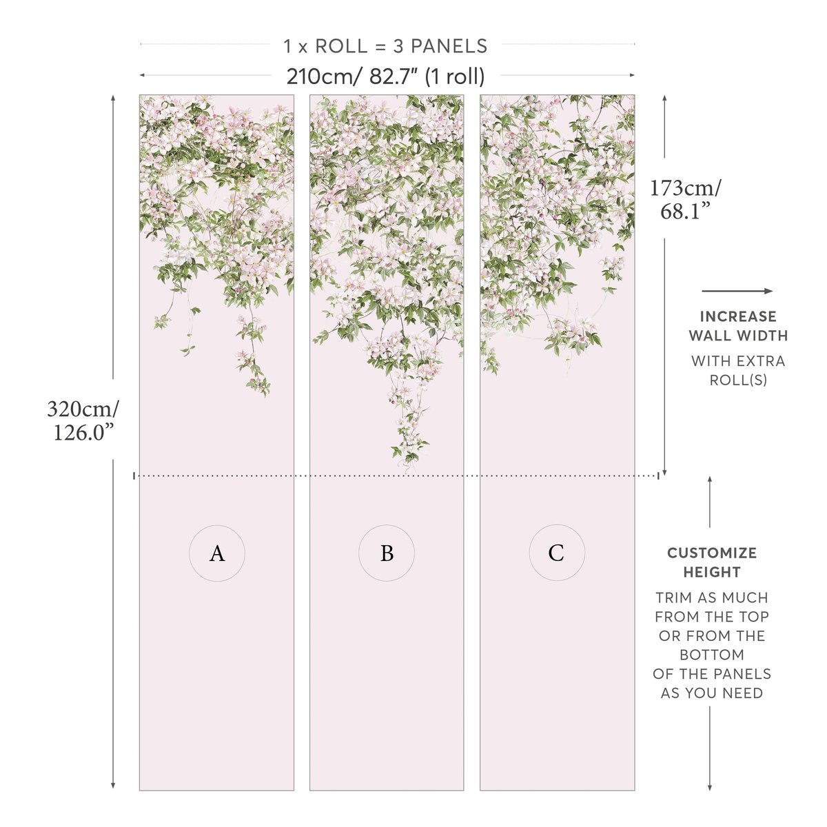 Classic Clematis Pink | Sian Zeng Classic Clematis Pink | Sian Zeng