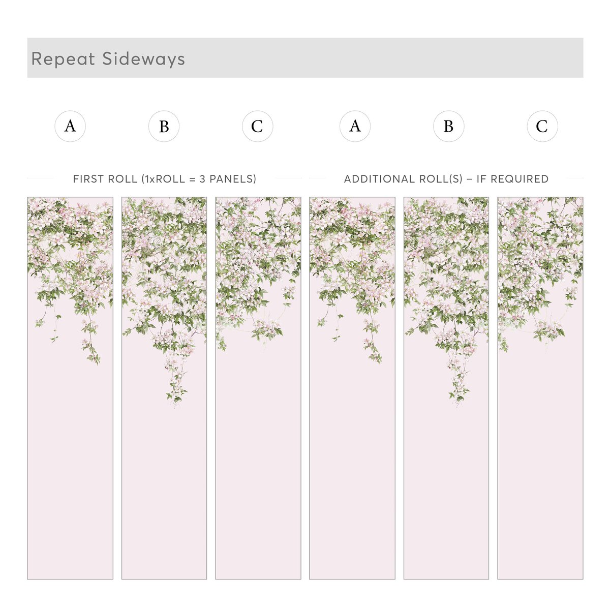 Classic Clematis Pink | Sian Zeng Classic Clematis Pink | Sian Zeng