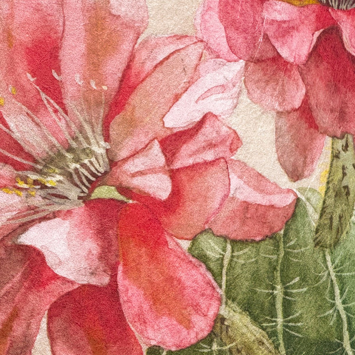 Classic Desert | Sian Zeng Classic Desert | Sian Zeng