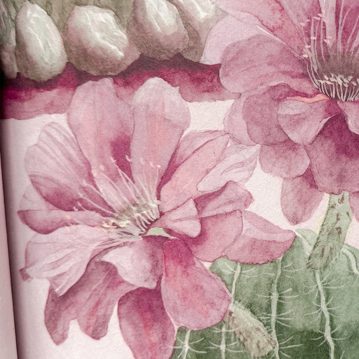 Classic Desert Pink Sand | Sian Zeng Classic Desert Pink Sand | Sian Zeng