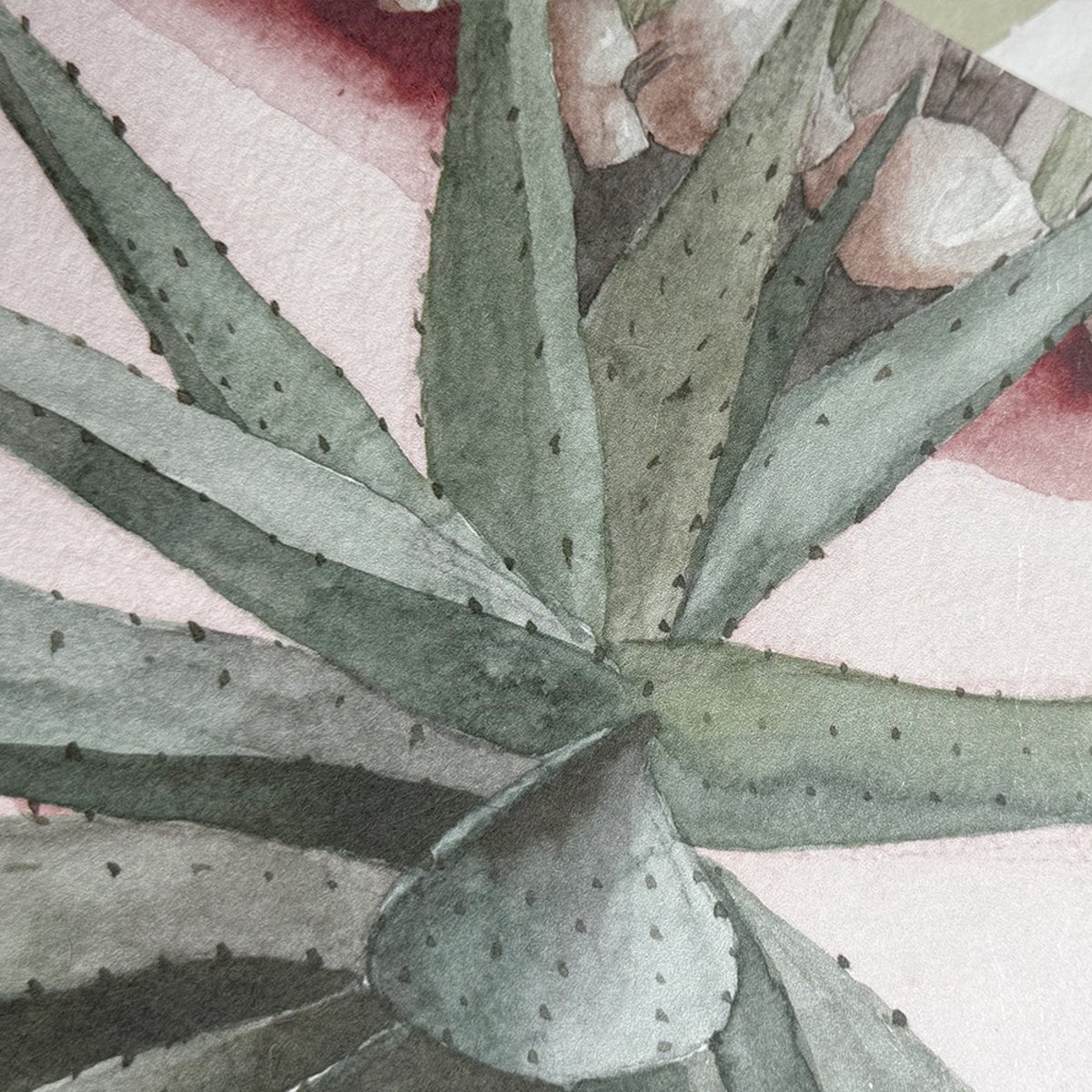 Classic Desert Pink Sand | Sian Zeng Classic Desert Pink Sand | Sian Zeng