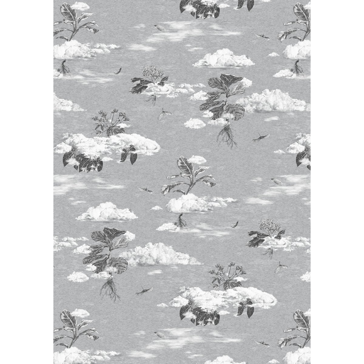 Classic Cloud Forest | Sian Zeng Classic Cloud Forest | Sian Zeng