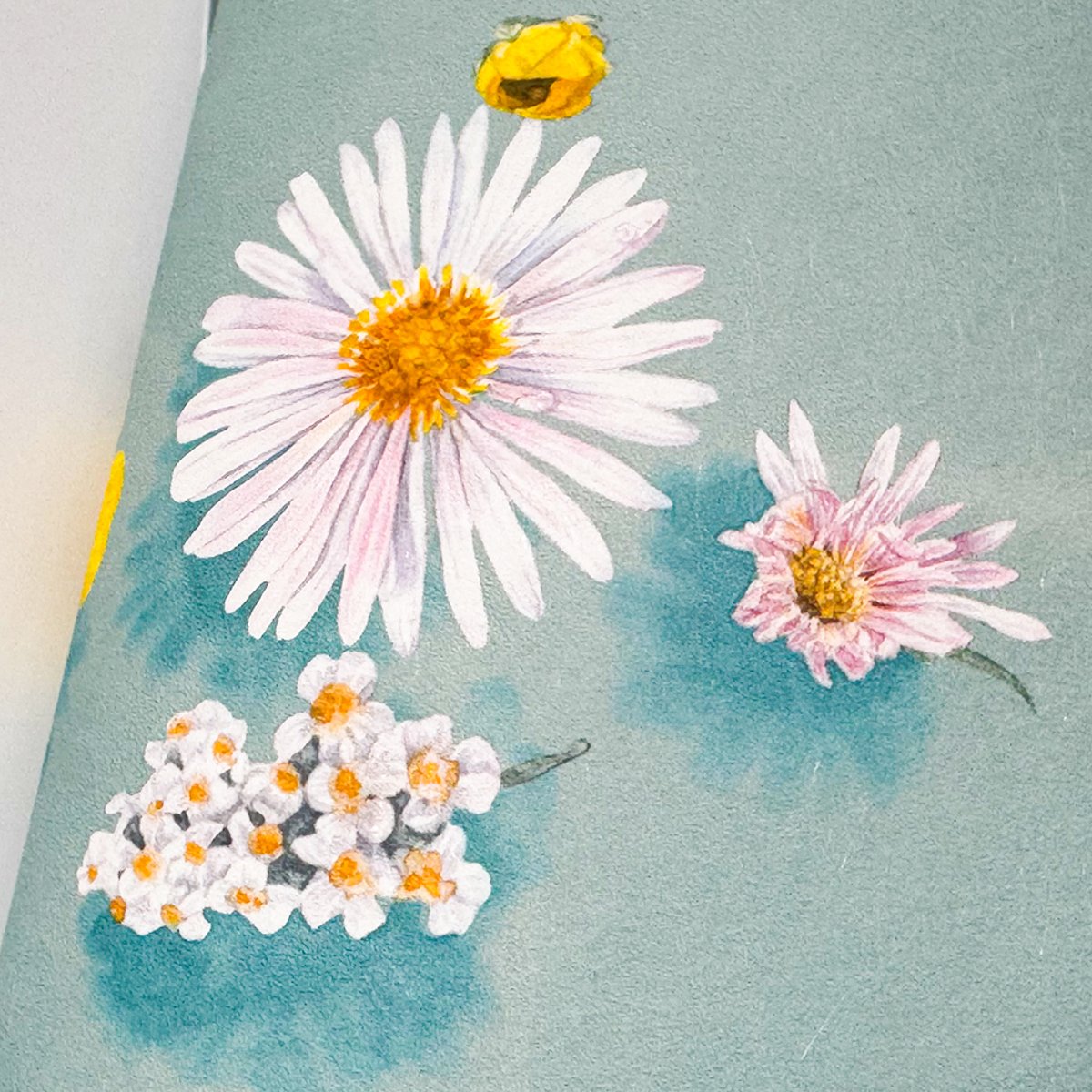 Floral Bath Blue | Sian Zeng Floral Bath Blue | Sian Zeng