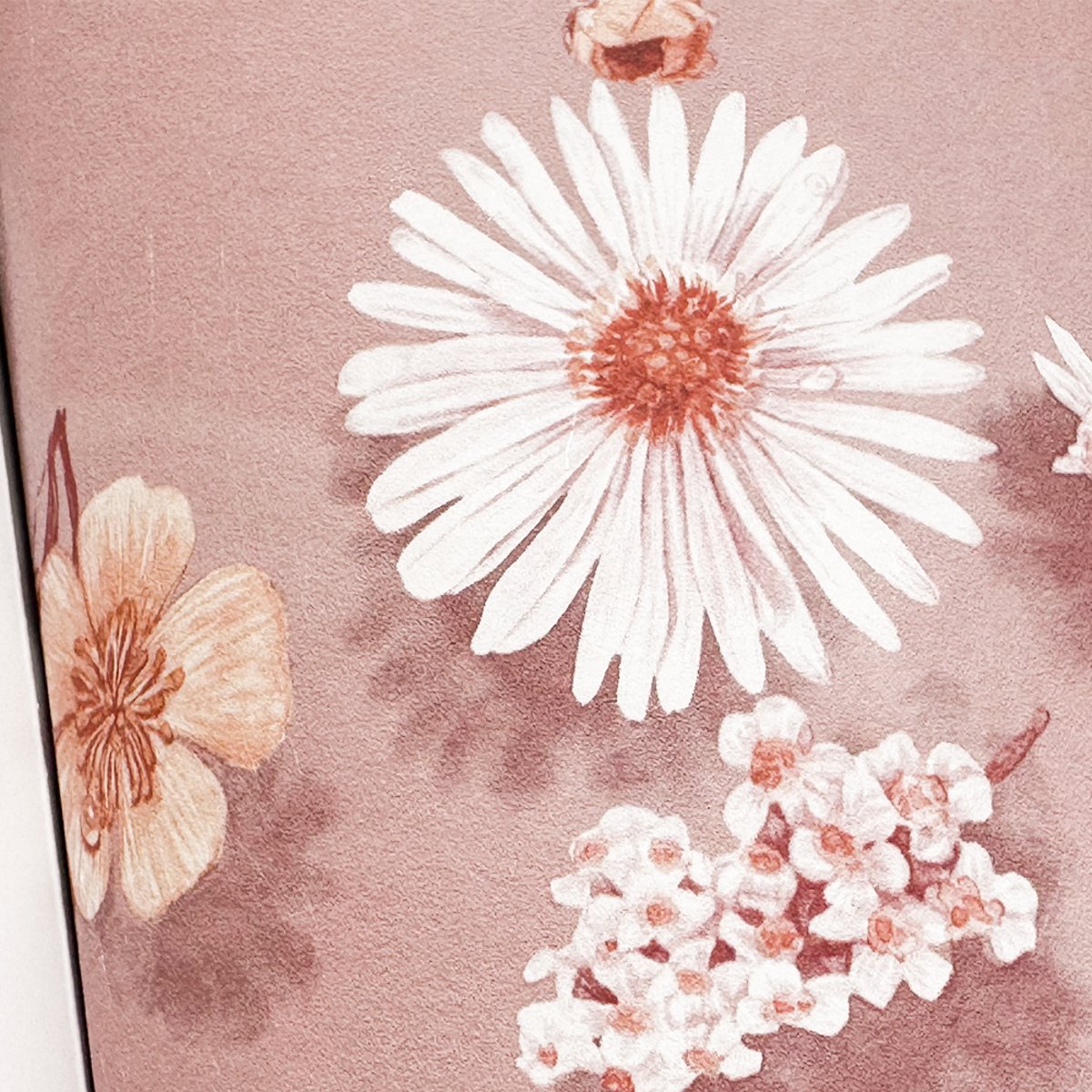 Floral Bath Blush Wallpaper | SIAN ZENG Floral Bath Blush Wallpaper | SIAN ZENG