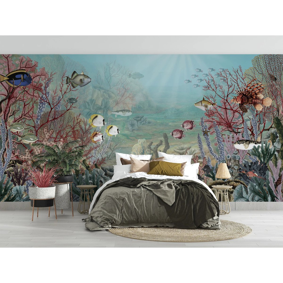 Sir Edward | Coral Creatures Sir Edward | Coral Creatures