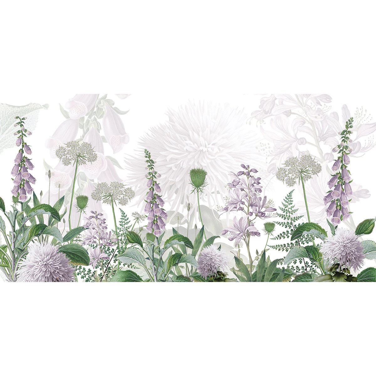 Sir Edward | Foxglove Flowers Sir Edward | Foxglove Flowers