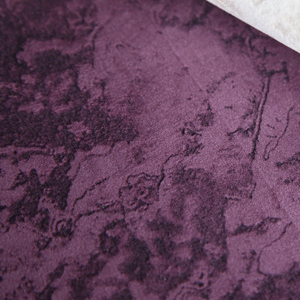 Texam | Reale | Belvedere Texam | Reale | Belvedere