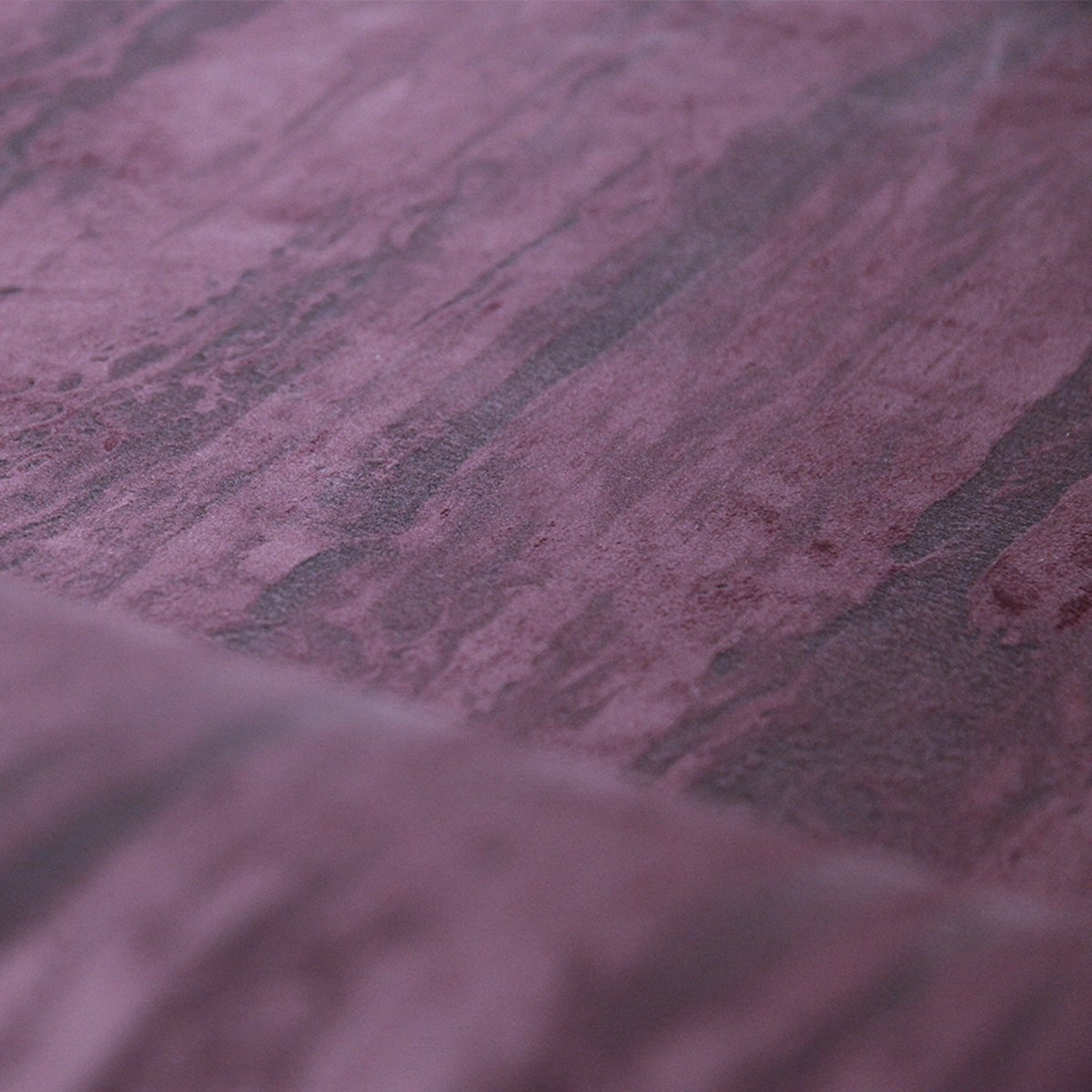 Texam | Reale | Medici Texam | Reale | Medici