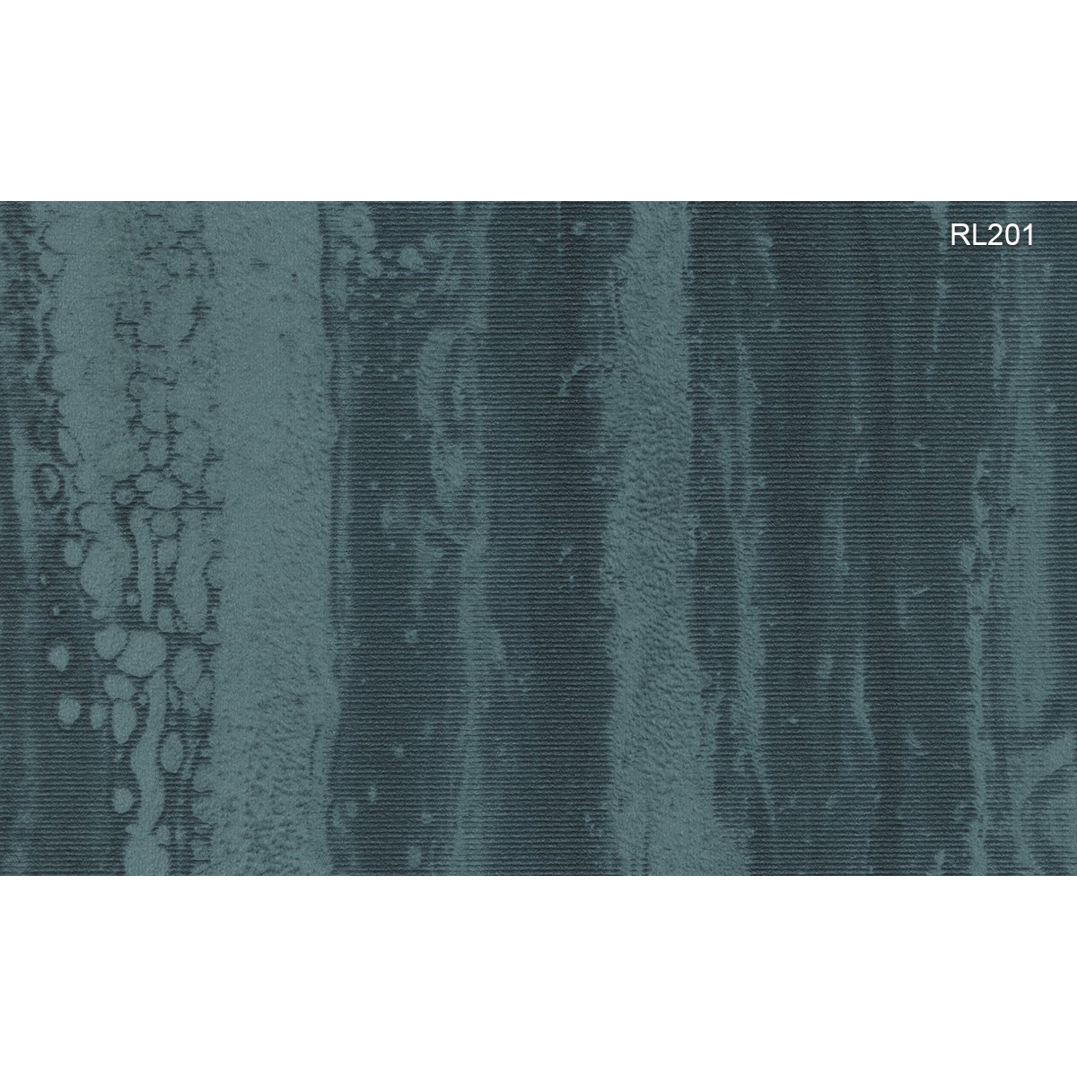 Texam | Reale | Medici Texam | Reale | Medici