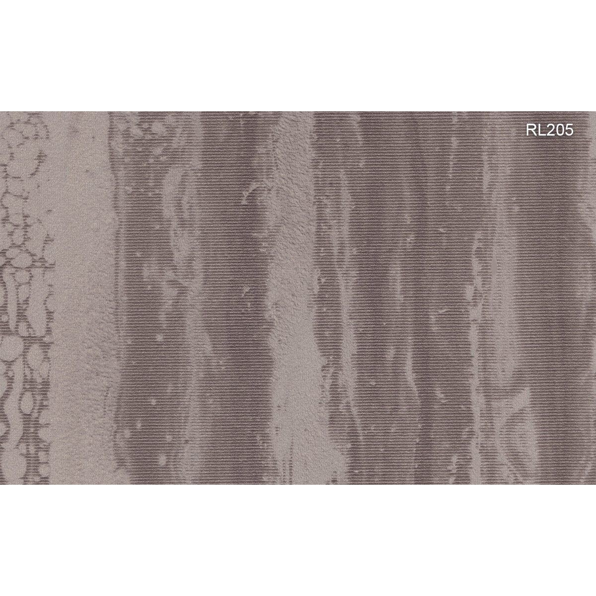 Texam | Reale | Medici Texam | Reale | Medici