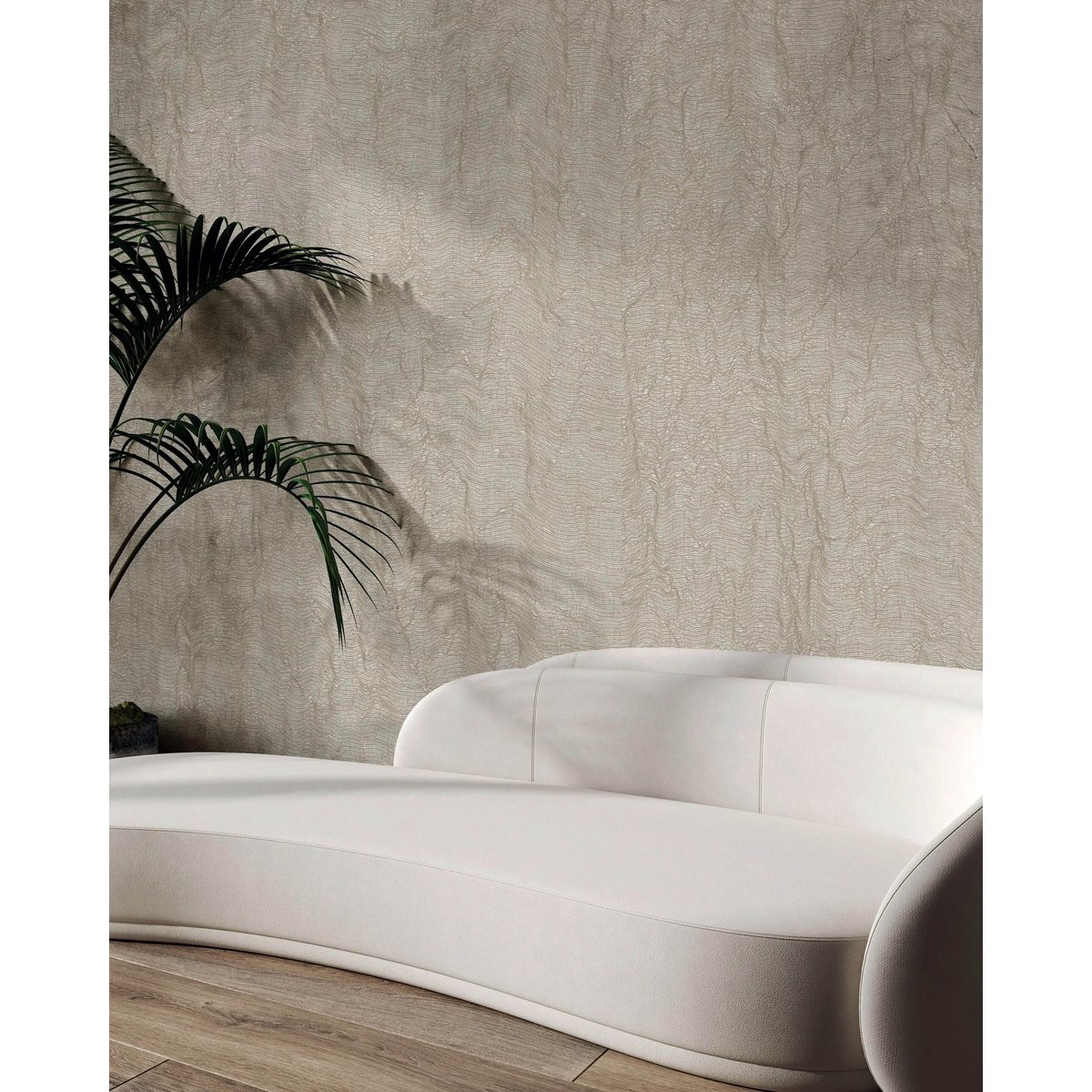 Texam | Reale | Sforza Texam | Reale | Sforza