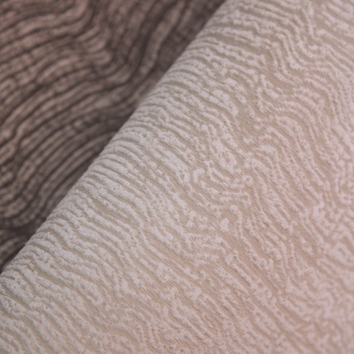 Texam | Reale | Sforza Texam | Reale | Sforza