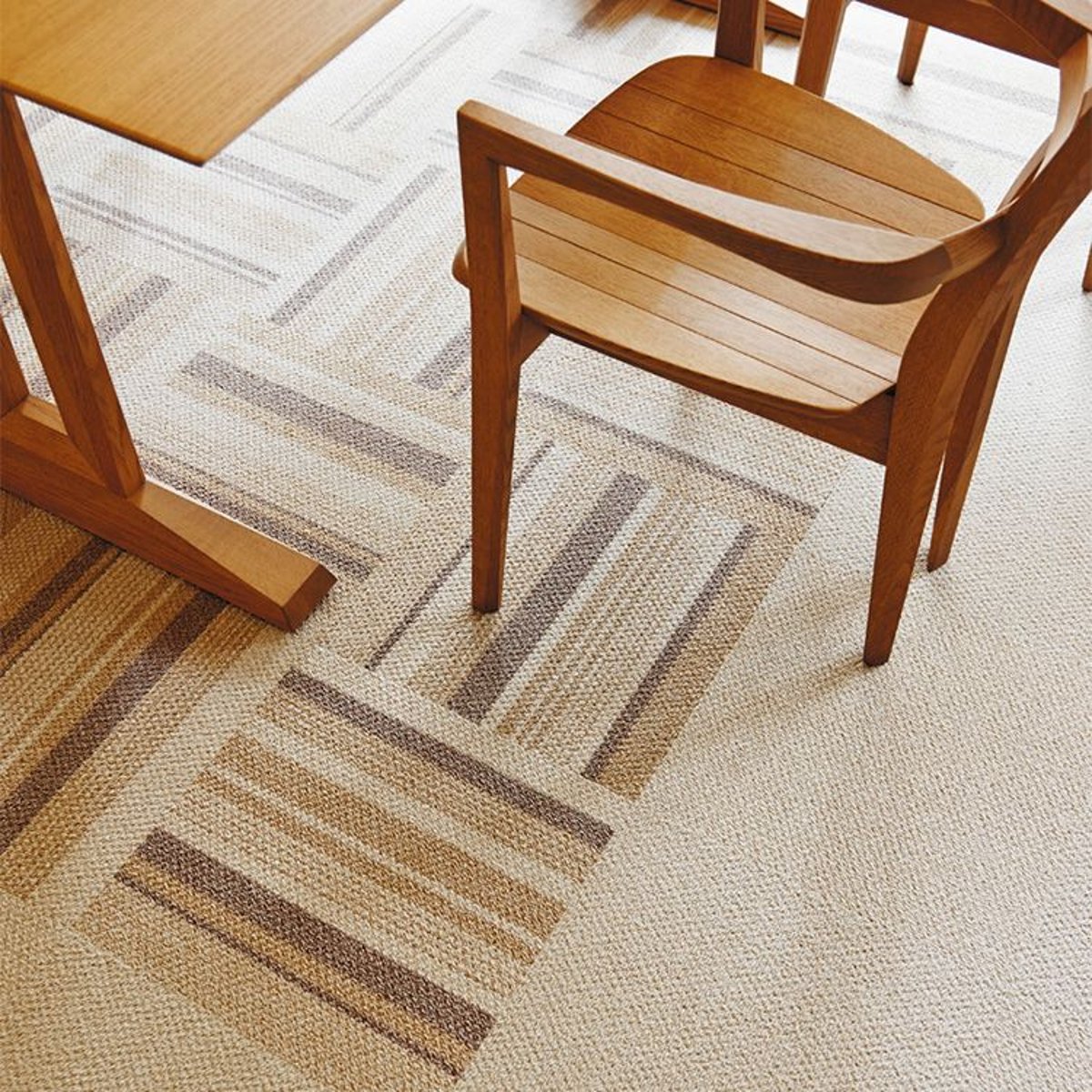 Toli / Pets Carpet / AK3515 Toli / Pets Carpet / AK3515