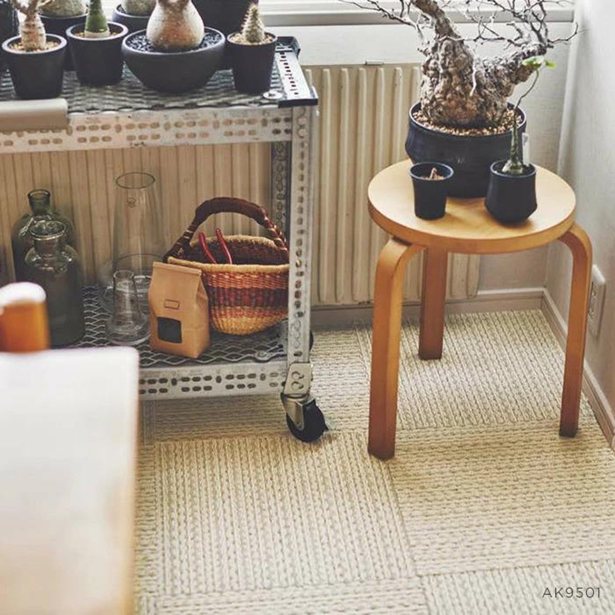 Toli / Pets Carpet / AK9501 Toli / Pets Carpet / AK9501