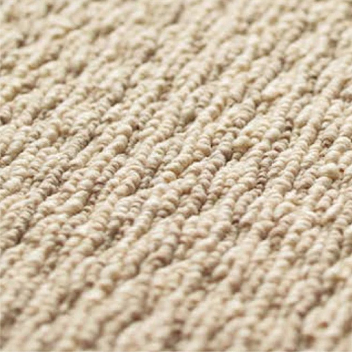 Toli / Pets Carpet / AK9502 Toli / Pets Carpet / AK9502