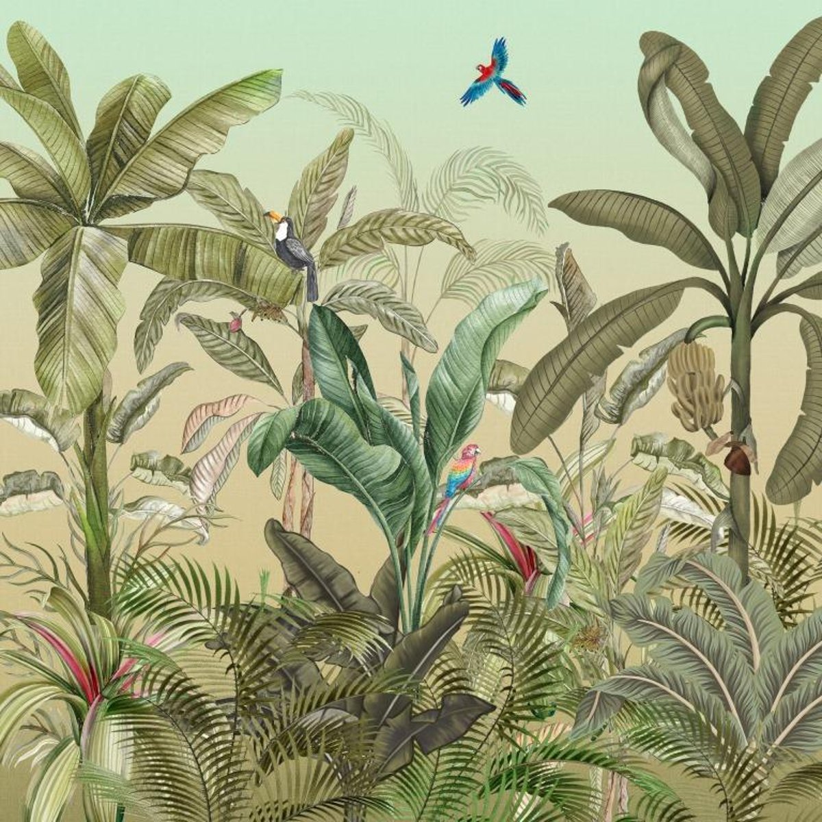 Honpo IM | Paradise | Dense Jungle Birds Honpo IM | Paradise | Dense Jungle Birds