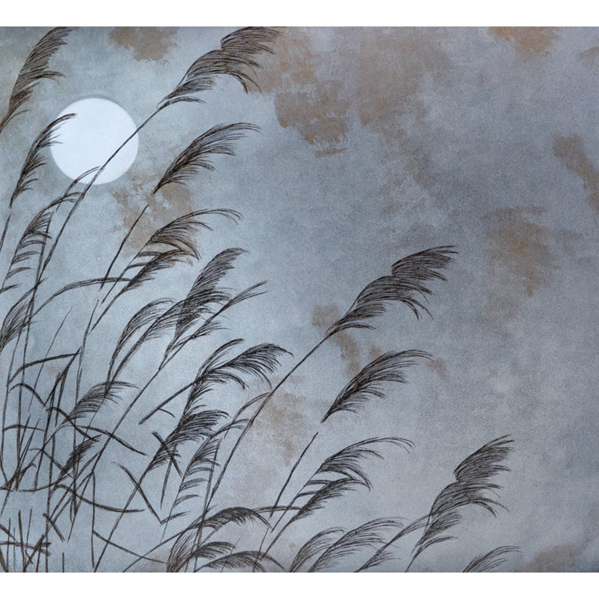 Honpo IM | Prakriti | Dhaani Honpo IM | Prakriti | Dhaani