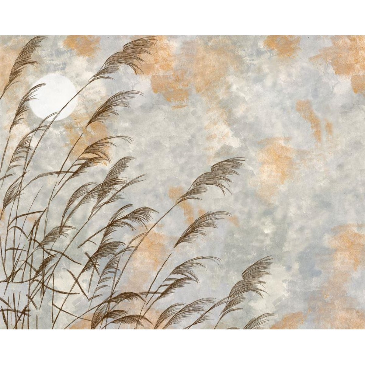 Honpo IM | Prakriti | Dhaani Honpo IM | Prakriti | Dhaani