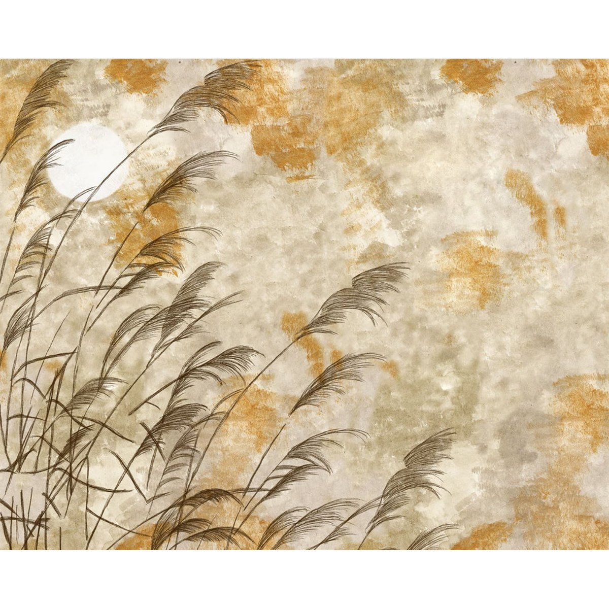 Honpo IM | Prakriti | Dhaani Honpo IM | Prakriti | Dhaani