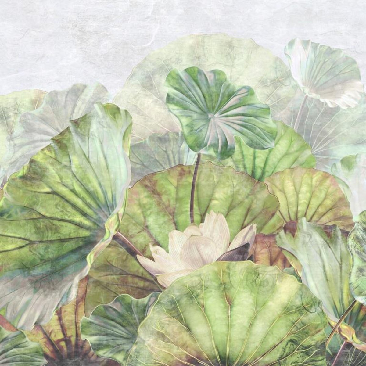 Honpo IM | Paradise | Serene Lotus Pond Greens Honpo IM | Paradise | Serene Lotus Pond Greens