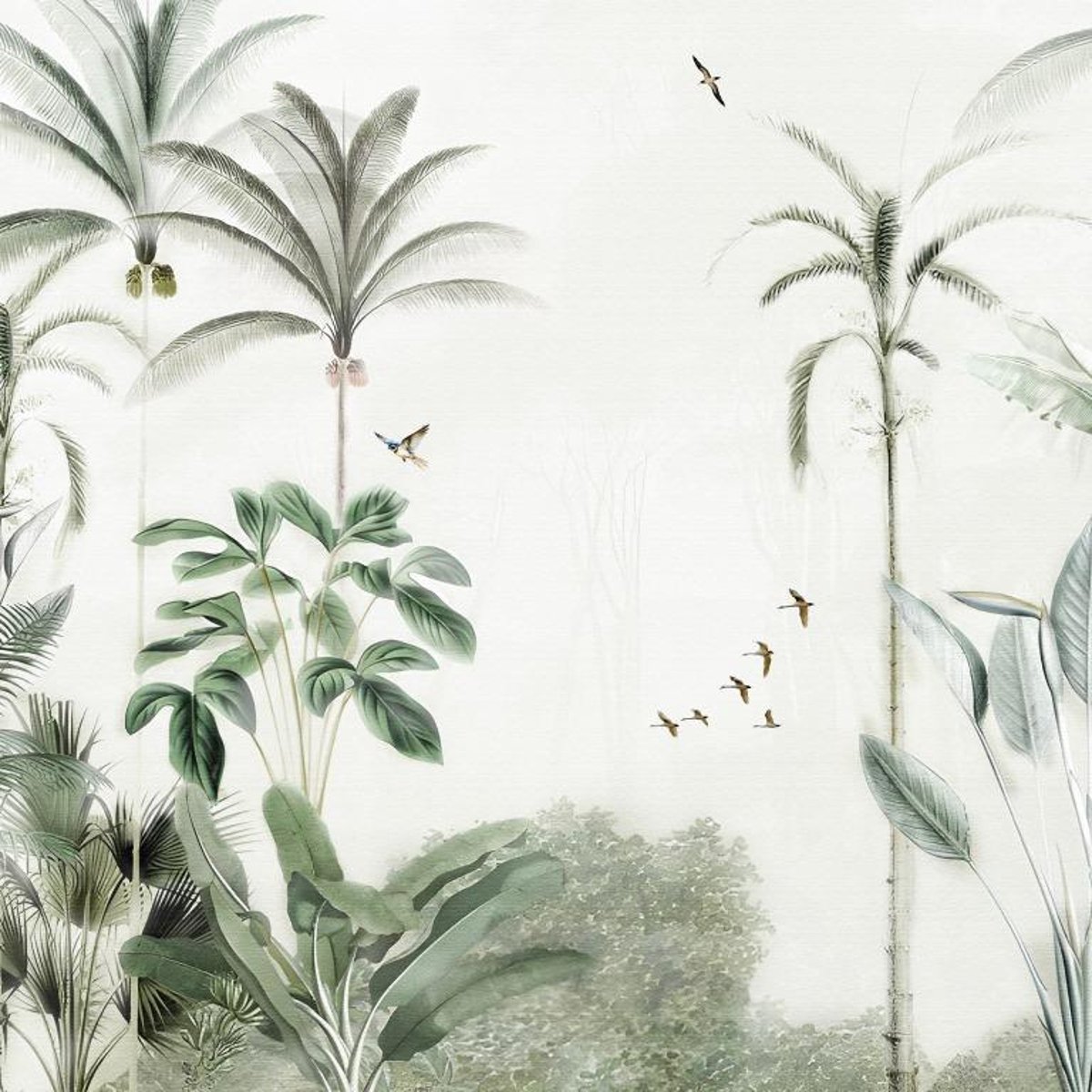 Honpo IM | Paradise | Vanashree Honpo IM | Paradise | Vanashree