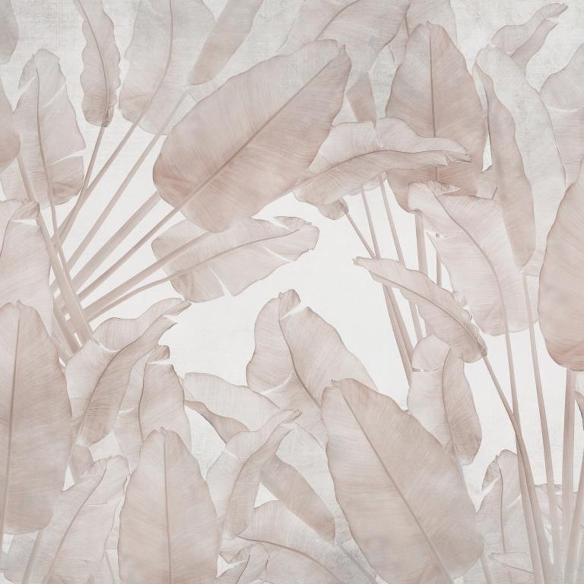 Honpo IM | Paradise | Whispering Banana Leaves Honpo IM | Paradise | Whispering Banana Leaves