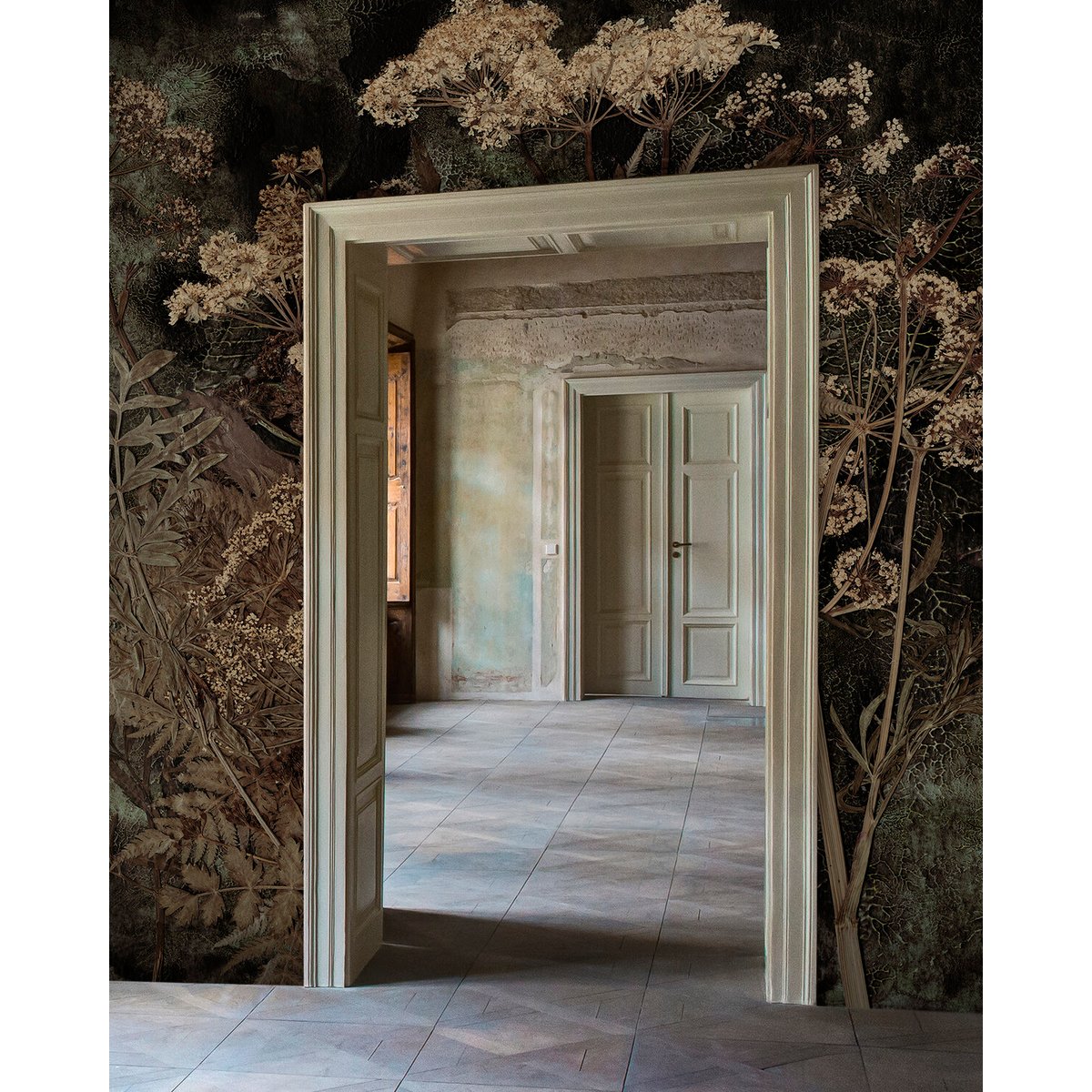 Oliver Robins | Cicuta Oliver Robins | Cicuta