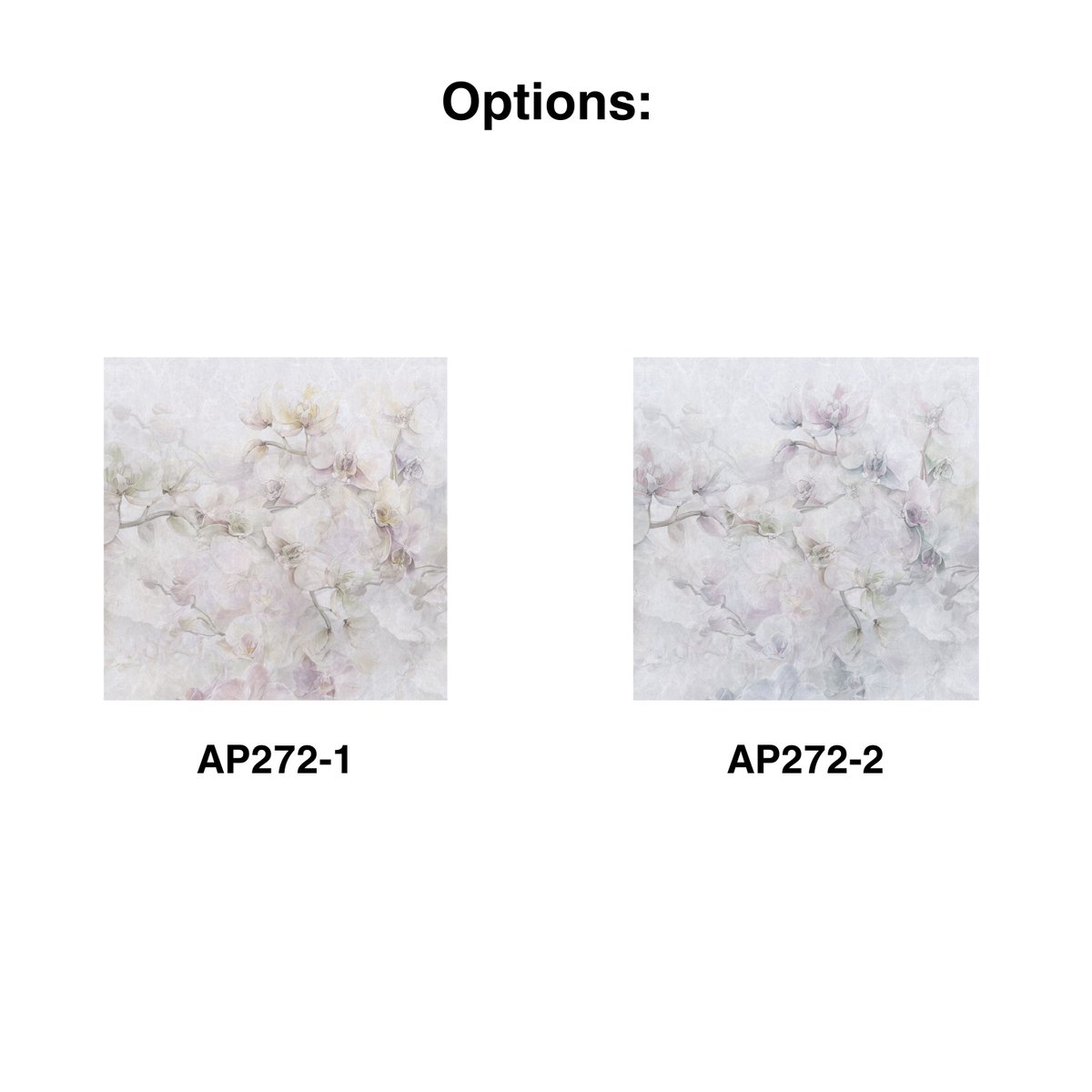 Rimura | Cattleya Rimura | Cattleya