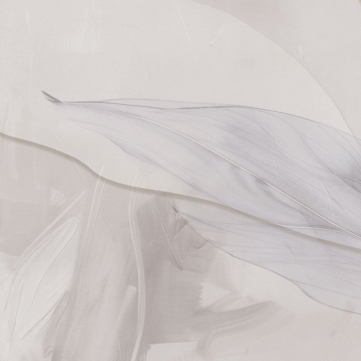 Rimura | Sfioro Rimura | Sfioro