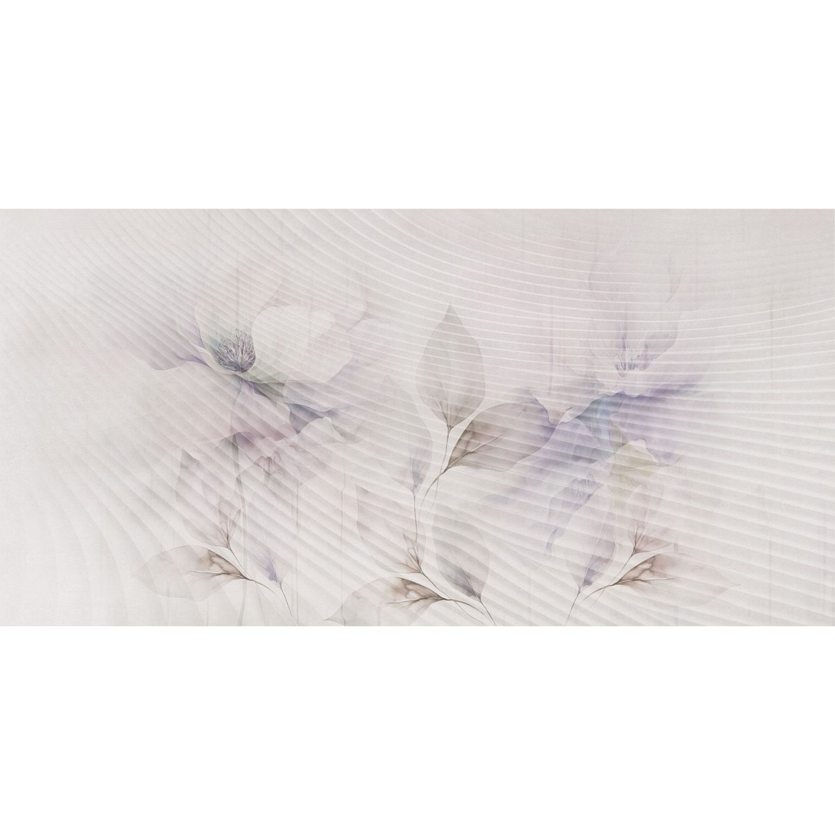 Rimura | Echo Rimura | Echo