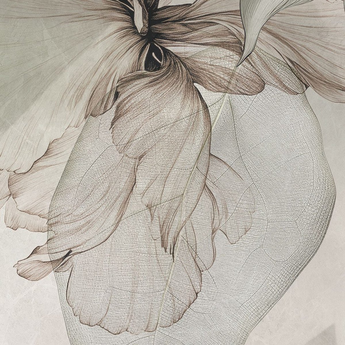 Rimura | Emerald Rimura | Emerald