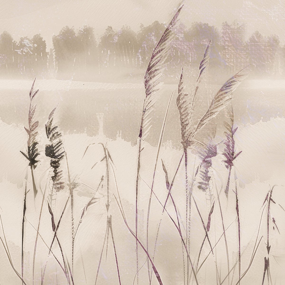 Rimura | Evinrude I Rimura | Evinrude I