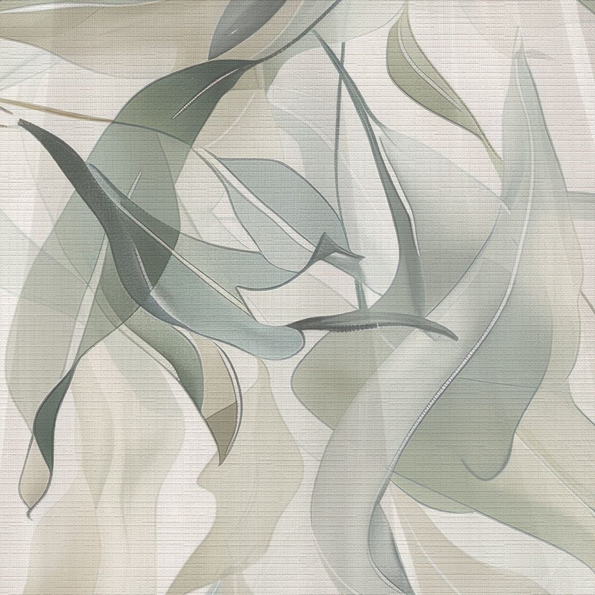 Rimura | Fronde Rimura | Fronde