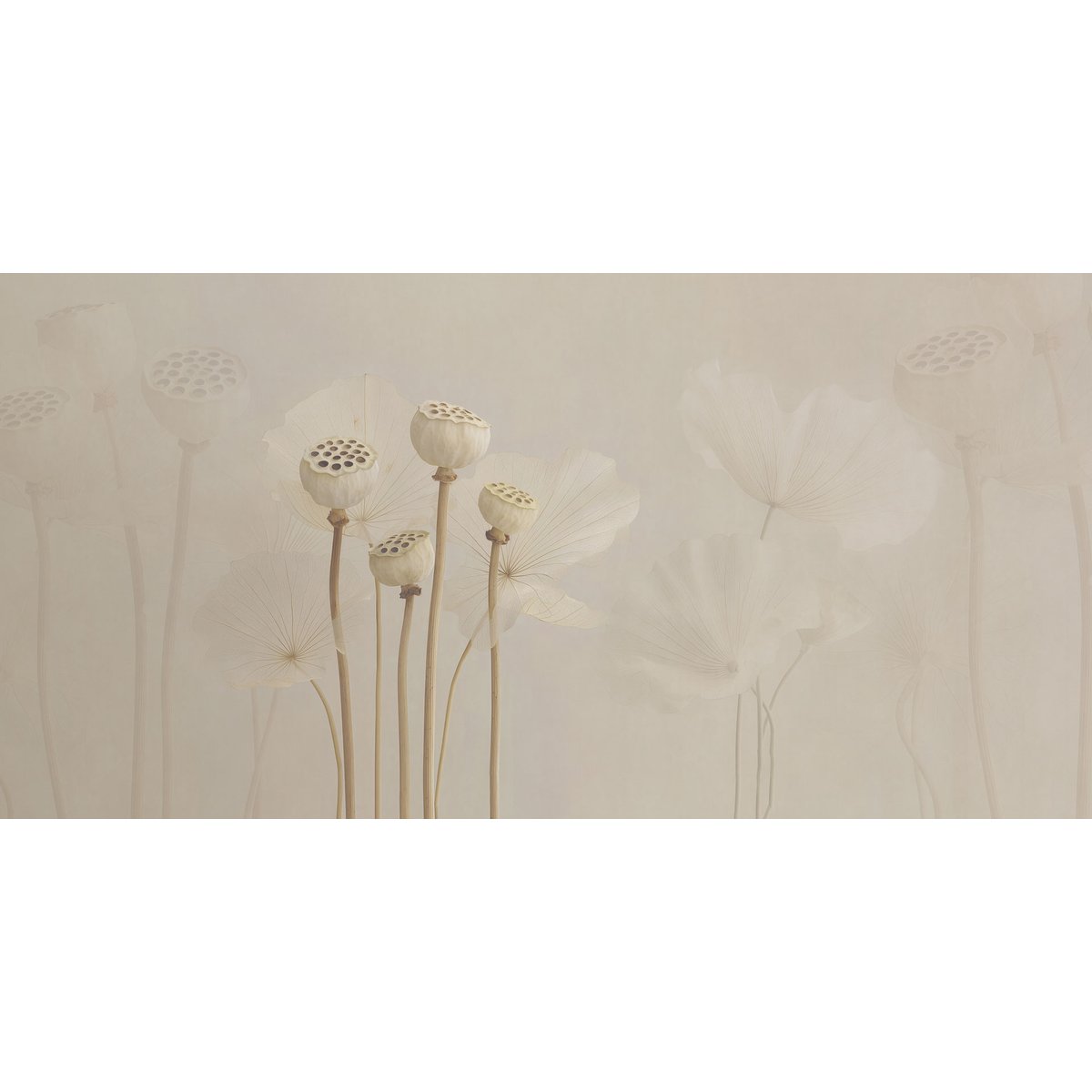 Rimura | Navajo Rimura | Navajo