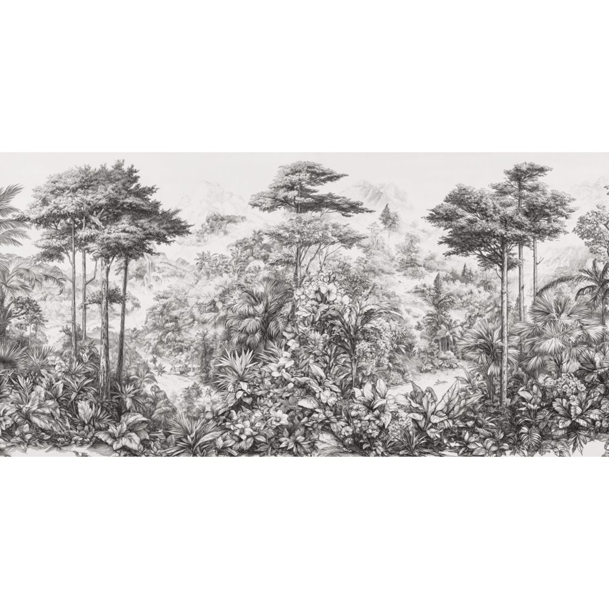 Rimura | Silva Rimura | Silva