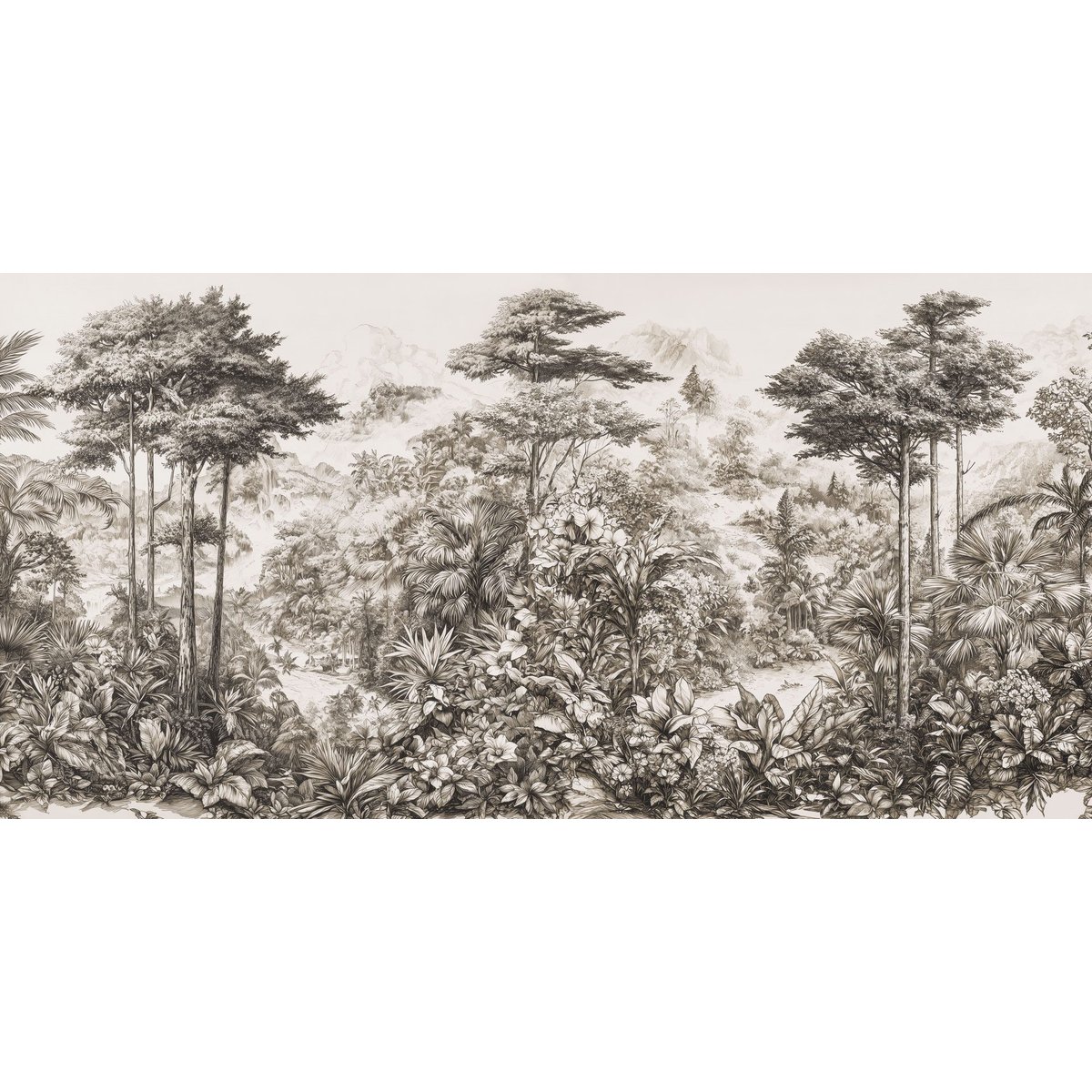 Rimura | Silva Rimura | Silva