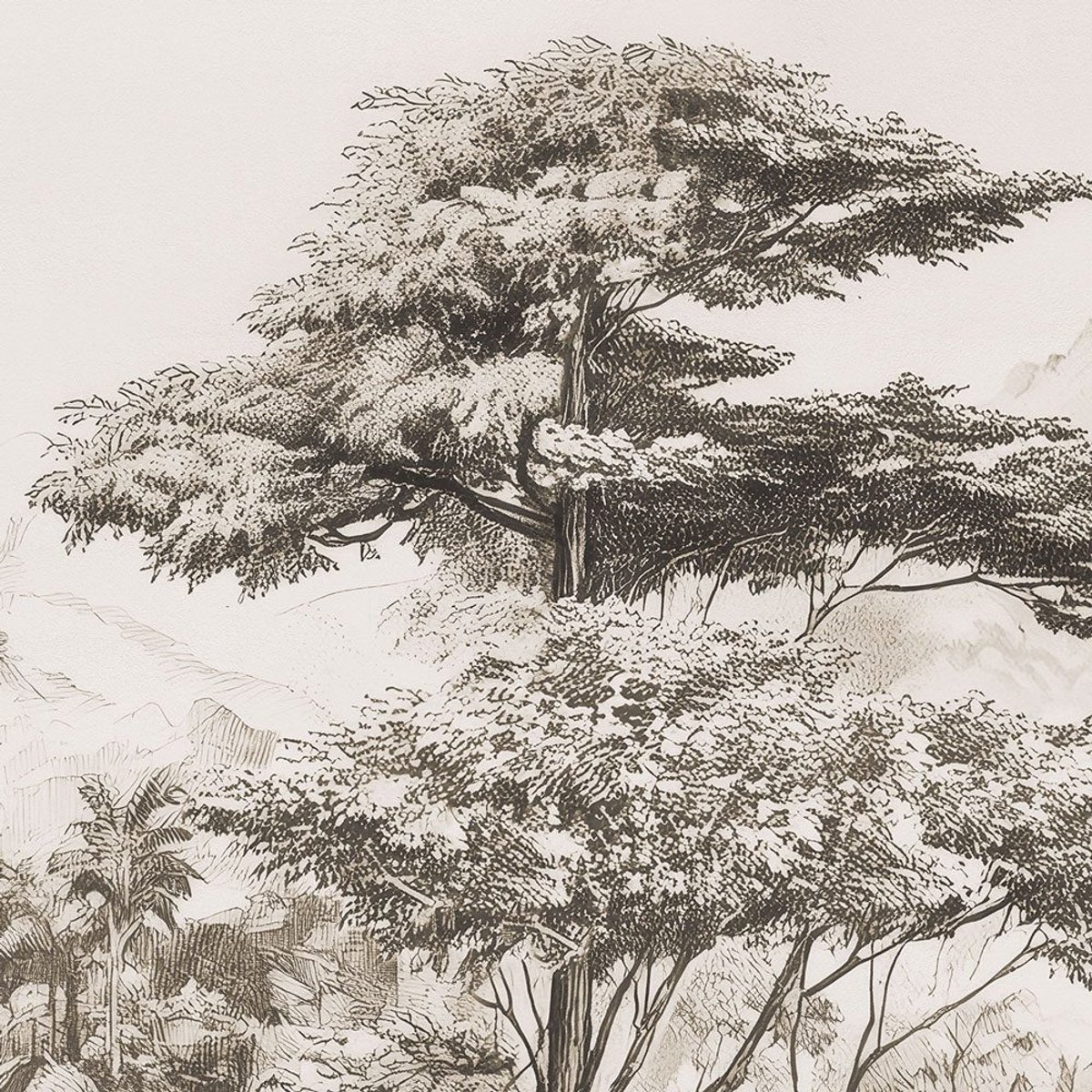 Rimura | Silva Rimura | Silva