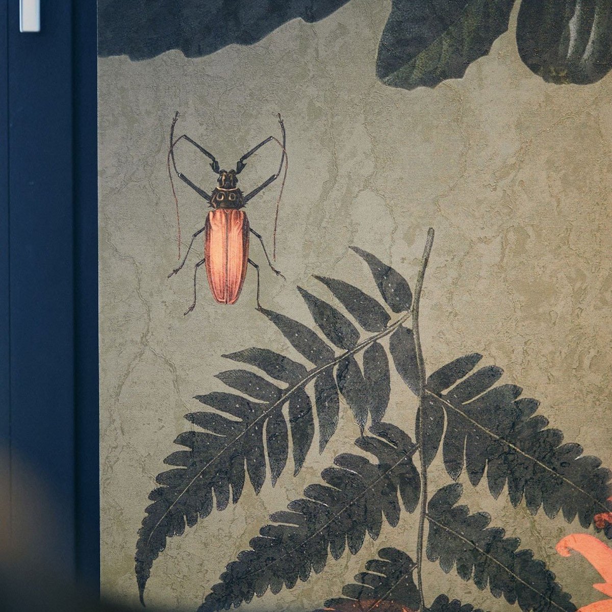 Wallcolors | Khaki Wallcolors | Khaki