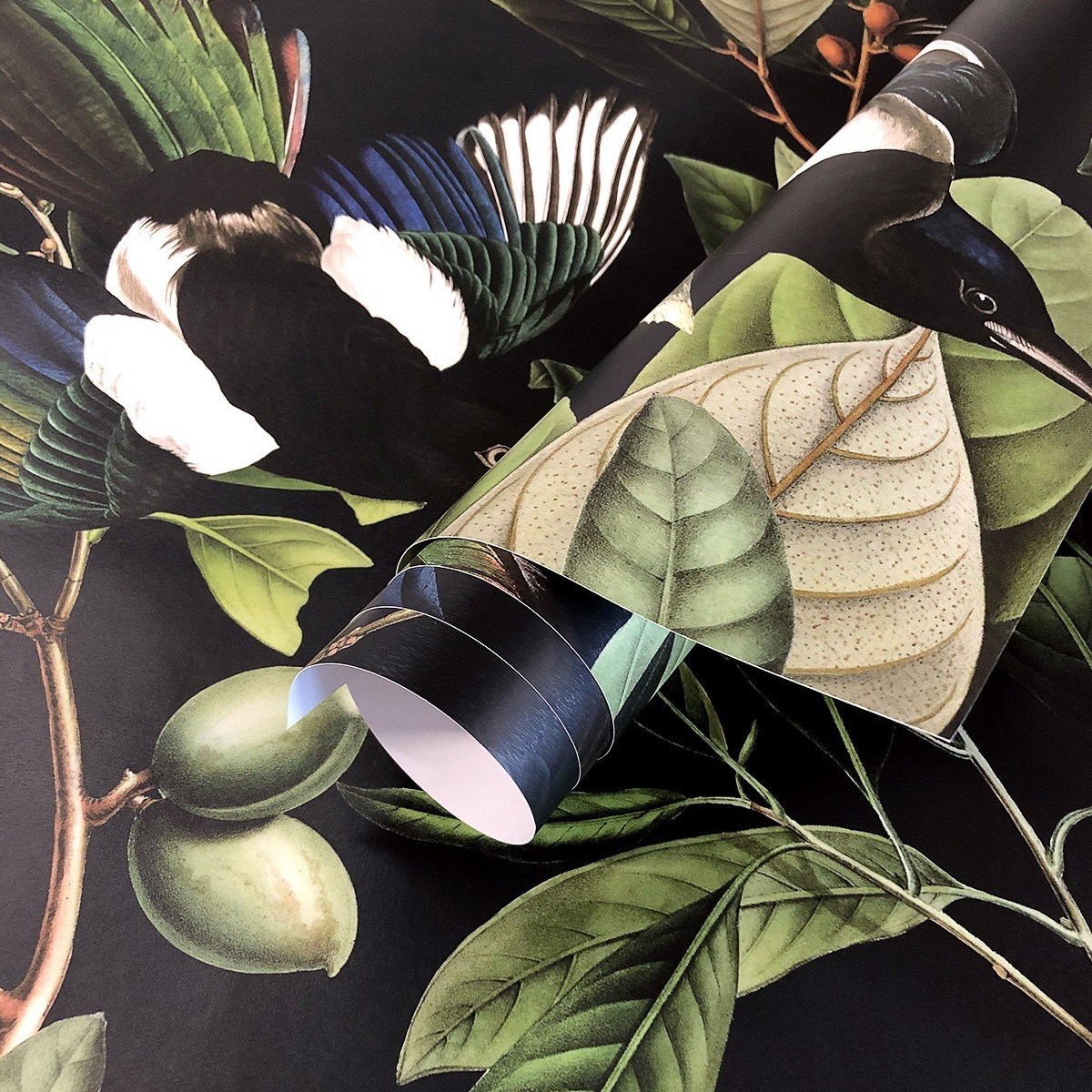 Wallcolors | Magpie Wallcolors | Magpie